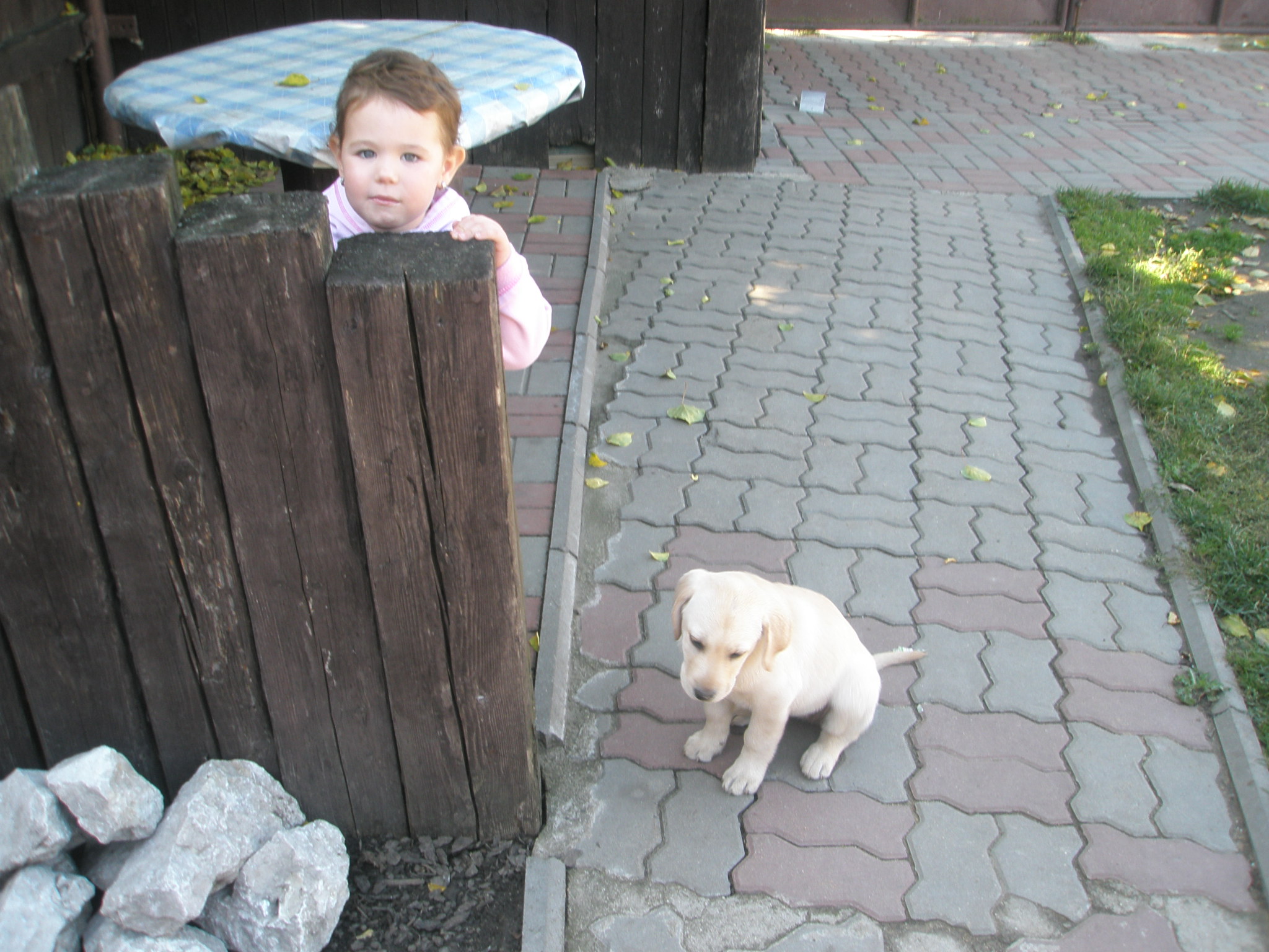 PA050135.JPG